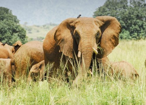 Kidepo National Park